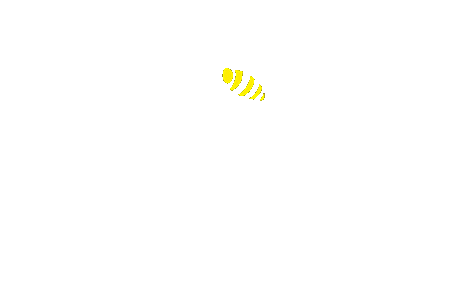 Сота Спорт